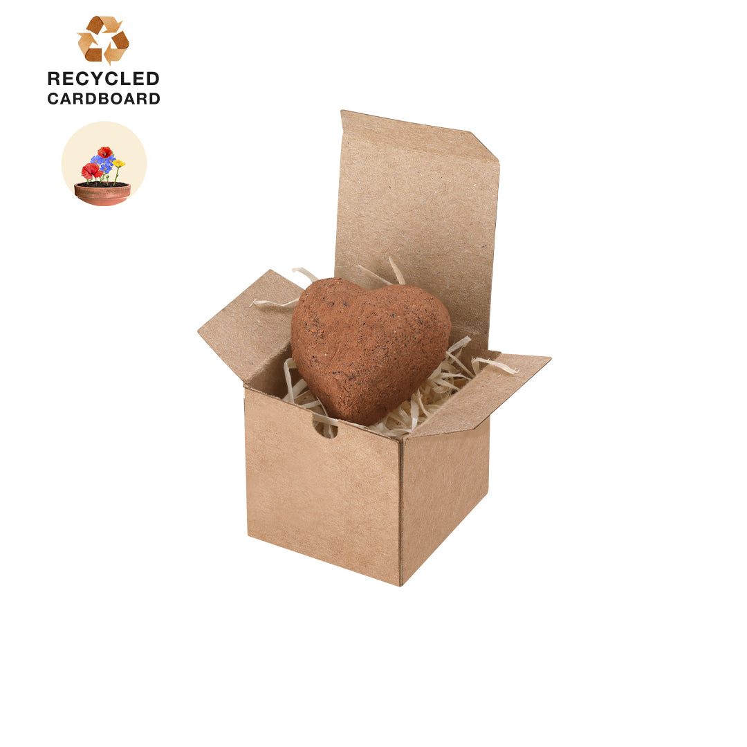 Caja bombón de corazón con semillas de flores silvestres regalo promocional ecológico biodegradable